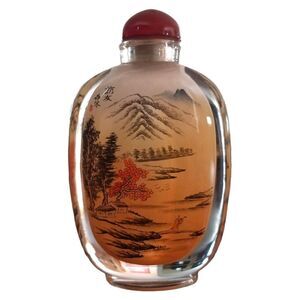 ⭐️ Chinese Artisan Created Inner Painted Glass Snuff Bottle with Box